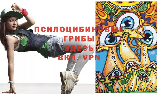 мдпв Нязепетровск