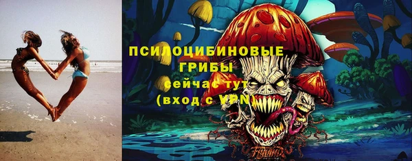 спиды Осинники