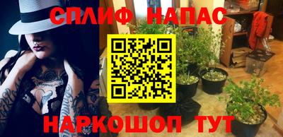 эйфоретик Дубна