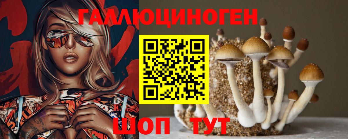 Камышин  Галлюциногенные грибы мухоморы  Вход с VPN 